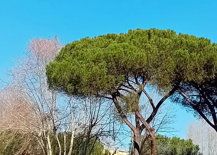 Apartamento Stazione Termini-san Lorenzo House Of Wonders *